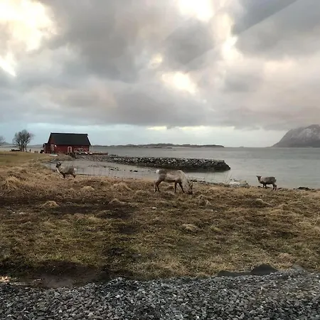 Unique Panorama - Senja