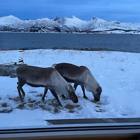 Unique Panorama - Senja Finnsaeter