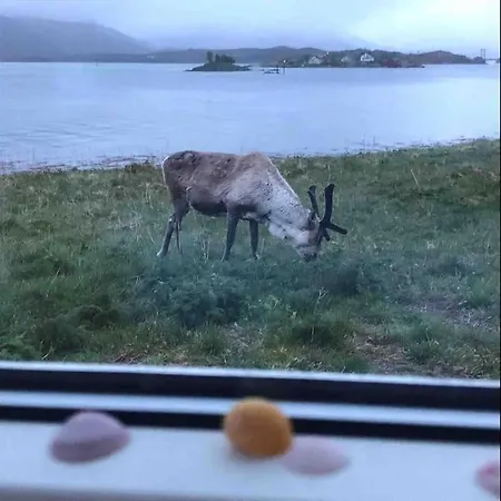 Unique Panorama - Senja Holiday home
